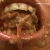 sd-116-1 scat fruit ritual newscatinbrazil