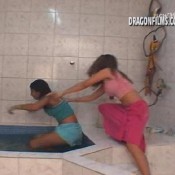 dfx-374-1 hot chicks in wet sensual fight