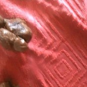 pissing and shitting in special position - pissen und viel kacken in spezieller position hd candys mega kv