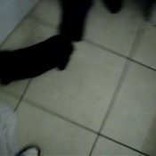 burping teens michelle burps