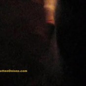 shenanigans rottenonionz