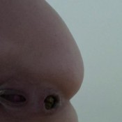 maria devot - caviar .. so close filmed