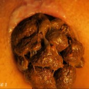 poop collection love rachelle 024 loverachelle2