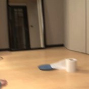 webcam solo scat 0488