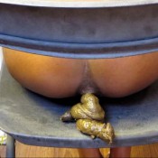 nasty poo on black chair