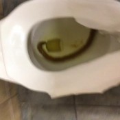 turding at a quick check public restroom with my pants to my ankles hd bigbootypanties