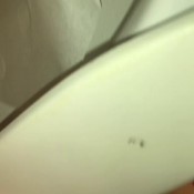 casino dump flush hd bigbootypanties