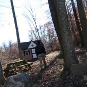 ms parker hd scatfreekzclub