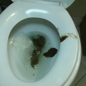 the shits hd scatfreekzclub