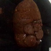 shiny tights poop the fart babes