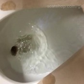 introducing sparkle! `i can`t believe i`m doing this!!` hd funkyladies