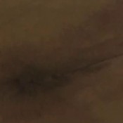 berlin farts on glass