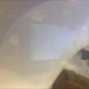 cwent31 silent frog cworldent - poop warning hannah stormz