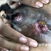 kitty catherine 4 fartfantasy