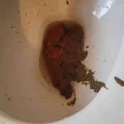 stand up poop fat ebony bbw standing up shitting amberbooty