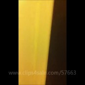 compilation girl bad pooping lucy loo