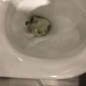 plop plop hd kinkycat