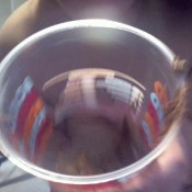 shylatina`s dookie in a cup voodoovixen