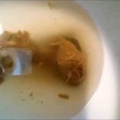 puddle of mud droppingapples