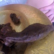 just what the doctor ordered loverachelle2