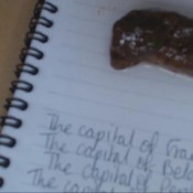 schoolgirl uses schoolbook as a toilet hd kaidenceking