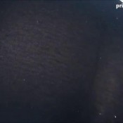 pofvid241 muffle madness princessoffarts