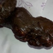 shit dessert for darlings hd elenatoilet