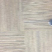 japanese pee hd kinkycat