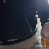 farting at my friend`s house madamedub