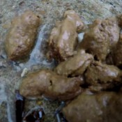 pooping in public place with graffiti! diabolic sigal janet