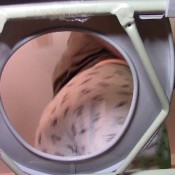 fill your mouth 1 pauline maxx