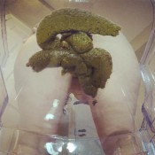 giant woman turns tiny horny boyfriend into shit loverachelle2