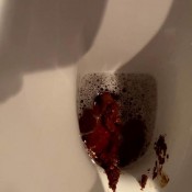 wild turd 4 slave hd the fart babes