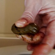 naughty slave eat my shit! dirtyfairy