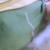 real time farts hd savannah fox