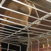 a ultimate slave farts hotdirtyivone