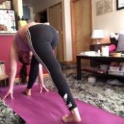 alisha yogas hd the fart head
