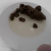 big stinking shit demonadragon