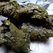 you are my scat pig elenatoilet