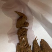 taking a sweet ass time shitting hd marinayam19