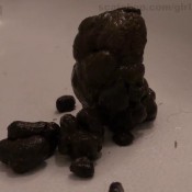 pooping 3 times pov episode 2 dirtymaryan