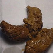 solid monster shit hd elenatoilet