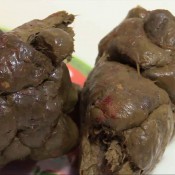 pooping on a plate in my bathtub dirtymaryan