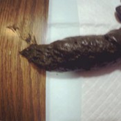 dumps and chunks! loverachelle2