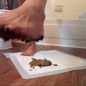 stomping on my own shit hd ladyx