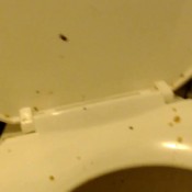 laxative explosive diarrhea 7 trips to shit hd efrolesbians dirty lesbians