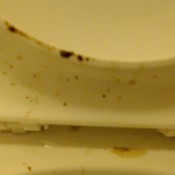 desperate diarrhea hd efrolesbians dirty lesbians