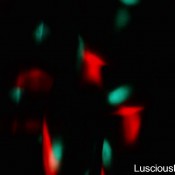 luscious lopez party booty hd