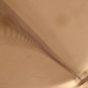 yoga tree enema bag brown cuts hd demonadragon