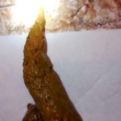 6 hot turds in 1 video! valleo